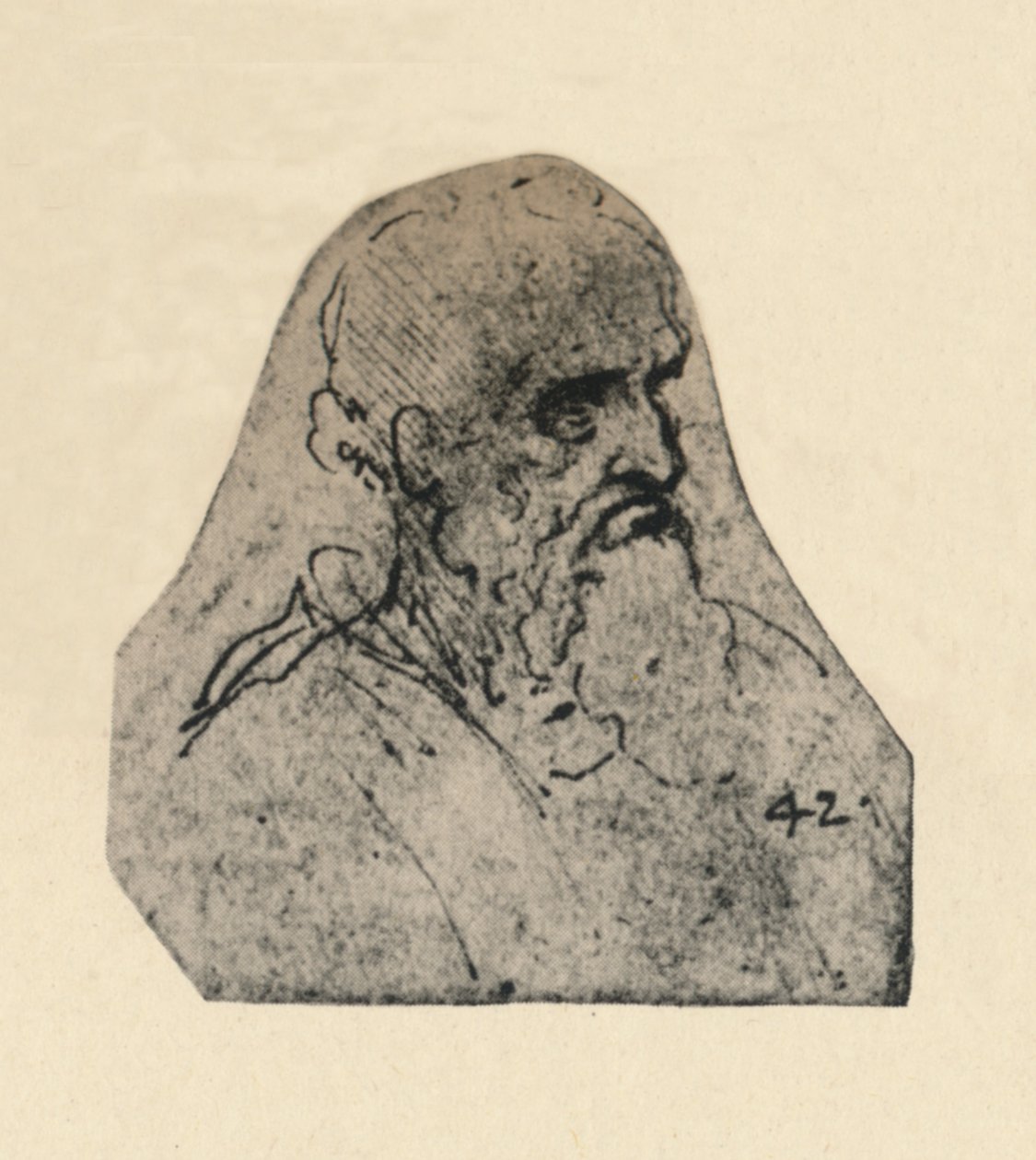 تحول رأس رجل عجوز إلى اليمين ، c1480 1945 بواسطة ليوناردو دا فينشي