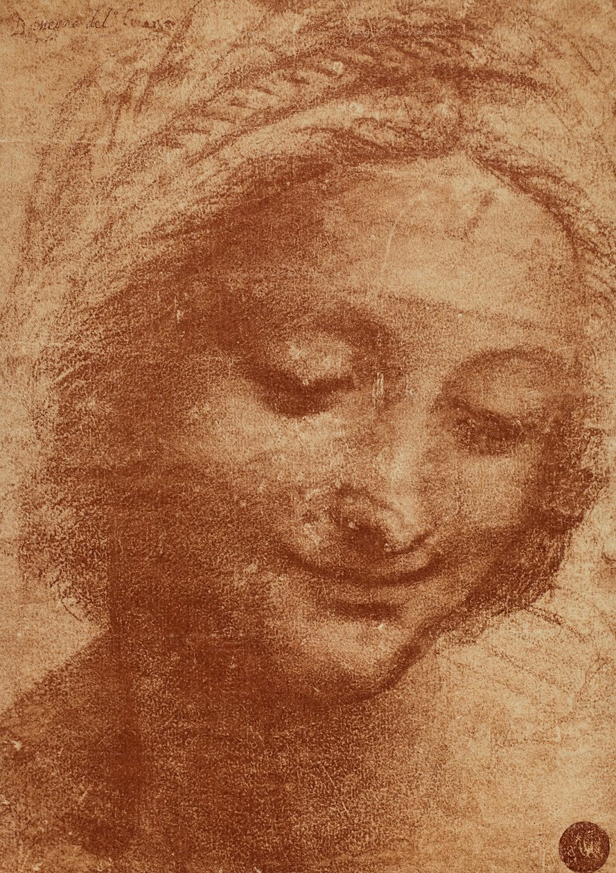 رأس امرأة أو SantAnna ، رسم ليوناردو دا فينشي ، يدرس لرئيس لوحة سانت أنس التي ترسم مادونا مع الطفل وسانت آنا الآن في متحف اللوفر. يقع التصميم في Gallerie dellA بواسطة ليوناردو دا فينشي