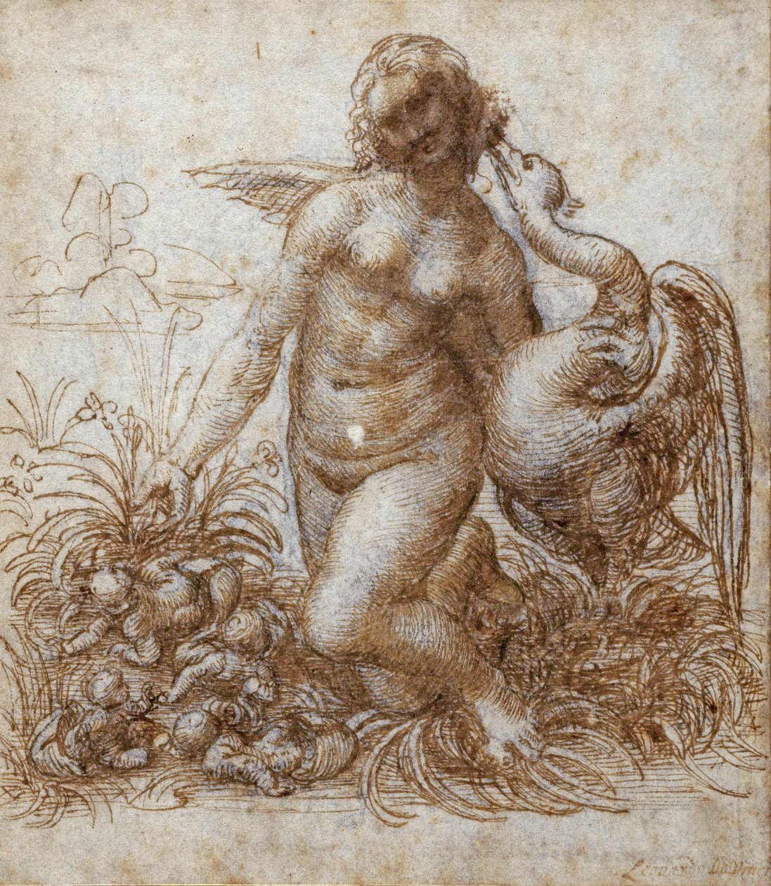 Leda and the swan (pen & brown ink over black chalk on paper) بواسطة ليوناردو دا فينشي