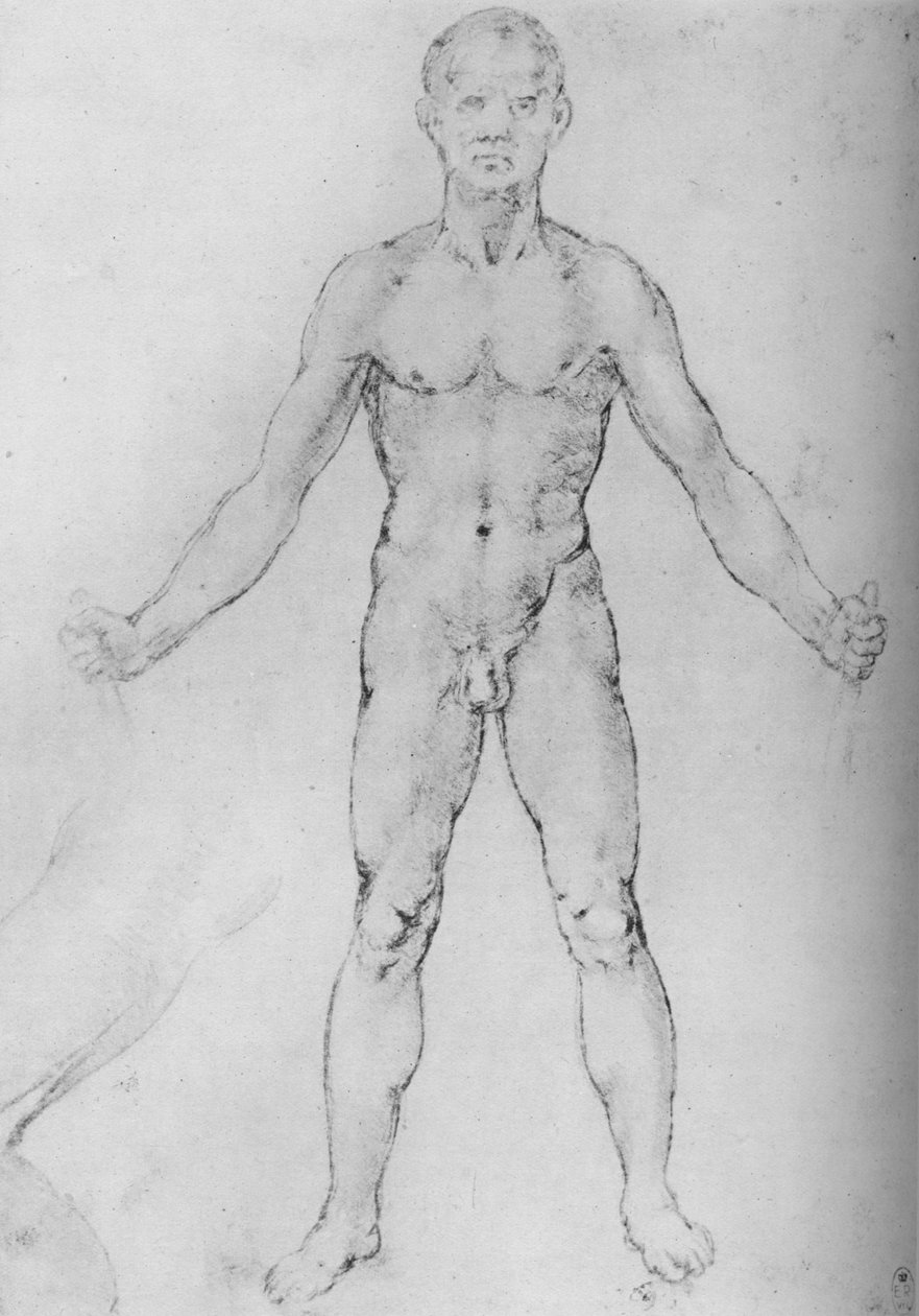 رجل عاري بأذرع ممدودة ، ينظر إليه من الأمام ، c1480 1945 بواسطة ليوناردو دا فينشي