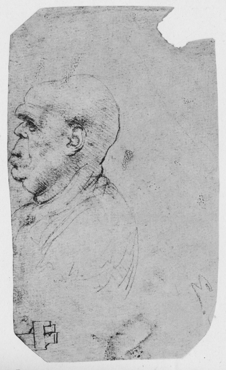 صورة رجل أصلع إلى اليسار ، c1480 1945 بواسطة ليوناردو دا فينشي