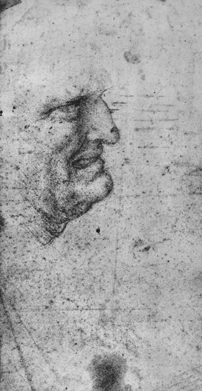 صورة رجل ذو أسنان مثقوبة ، c1480 1945 بواسطة ليوناردو دا فينشي