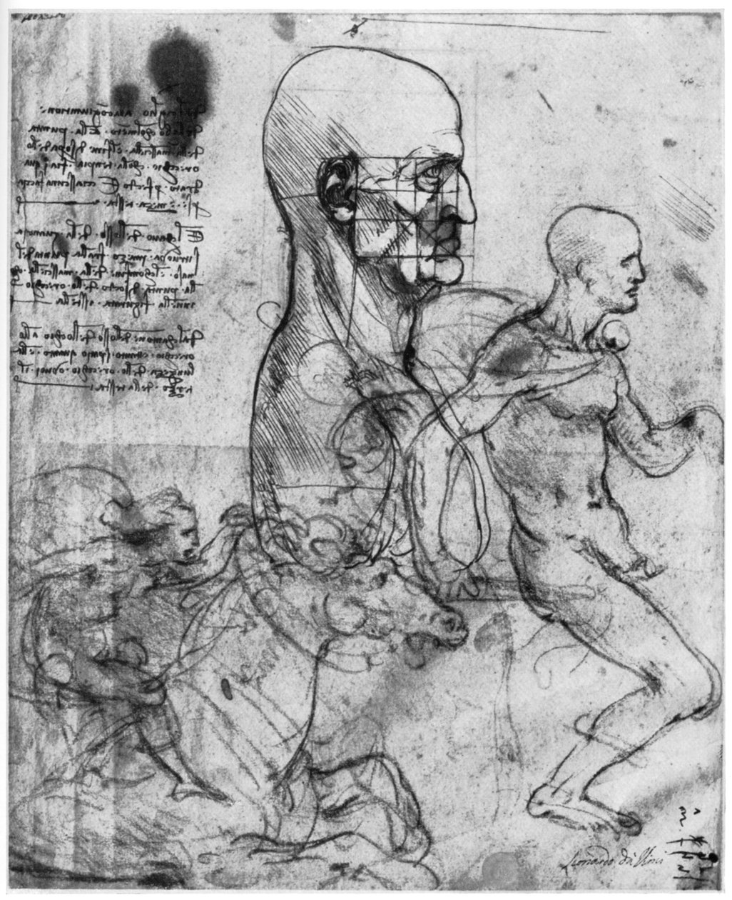نبذة عن رأس رجل ودراسات لراكبين ، c1490 و c1504 1954. بواسطة ليوناردو دا فينشي
