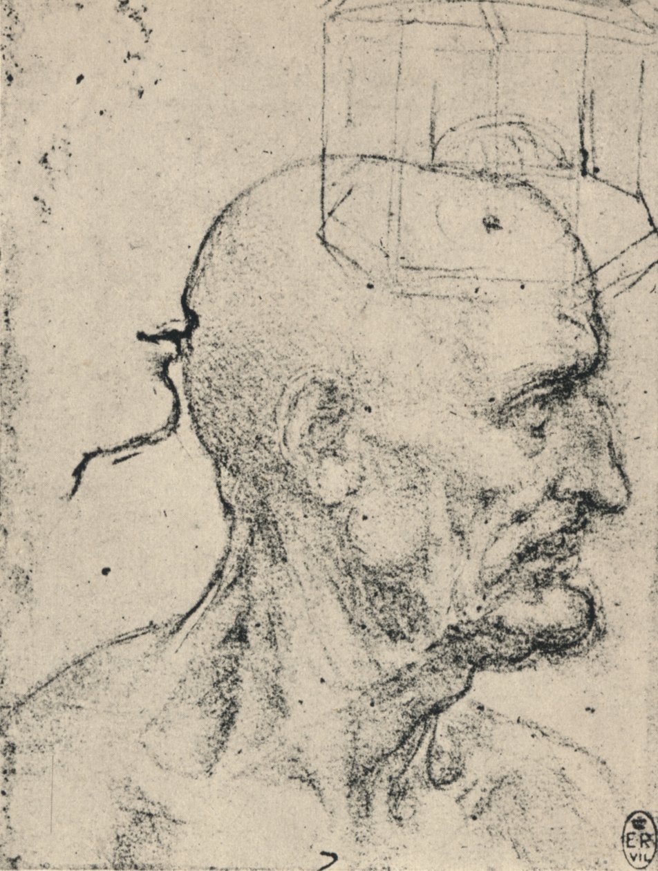الملف الشخصي إلى يمين رجل أصلع ، c1480 1945 بواسطة ليوناردو دا فينشي