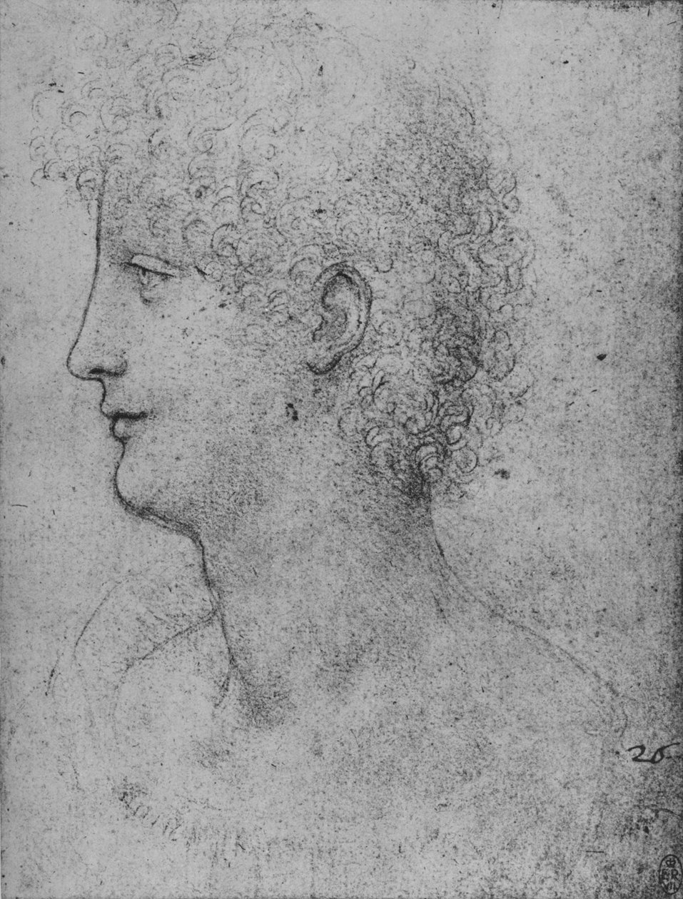 الملف الشخصي على يسار الشباب ذو الرأس المجعد ، c1480 1945 بواسطة ليوناردو دا فينشي
