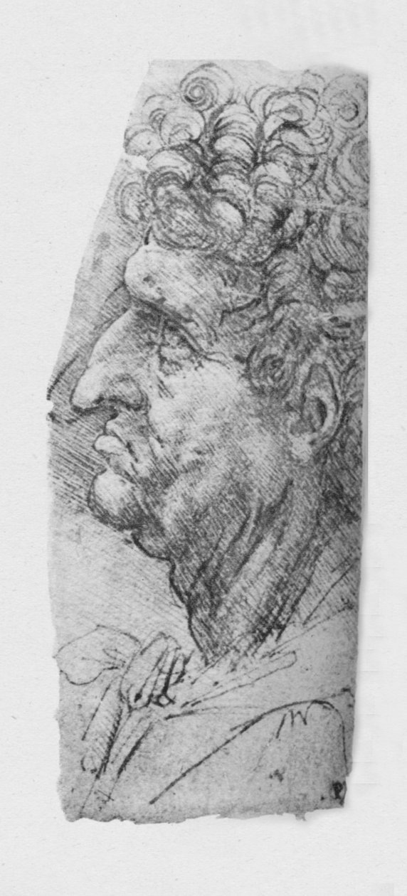 الملف الشخصي على يسار رجل مسن بشعر مجعد ، c1480 1945 بواسطة ليوناردو دا فينشي