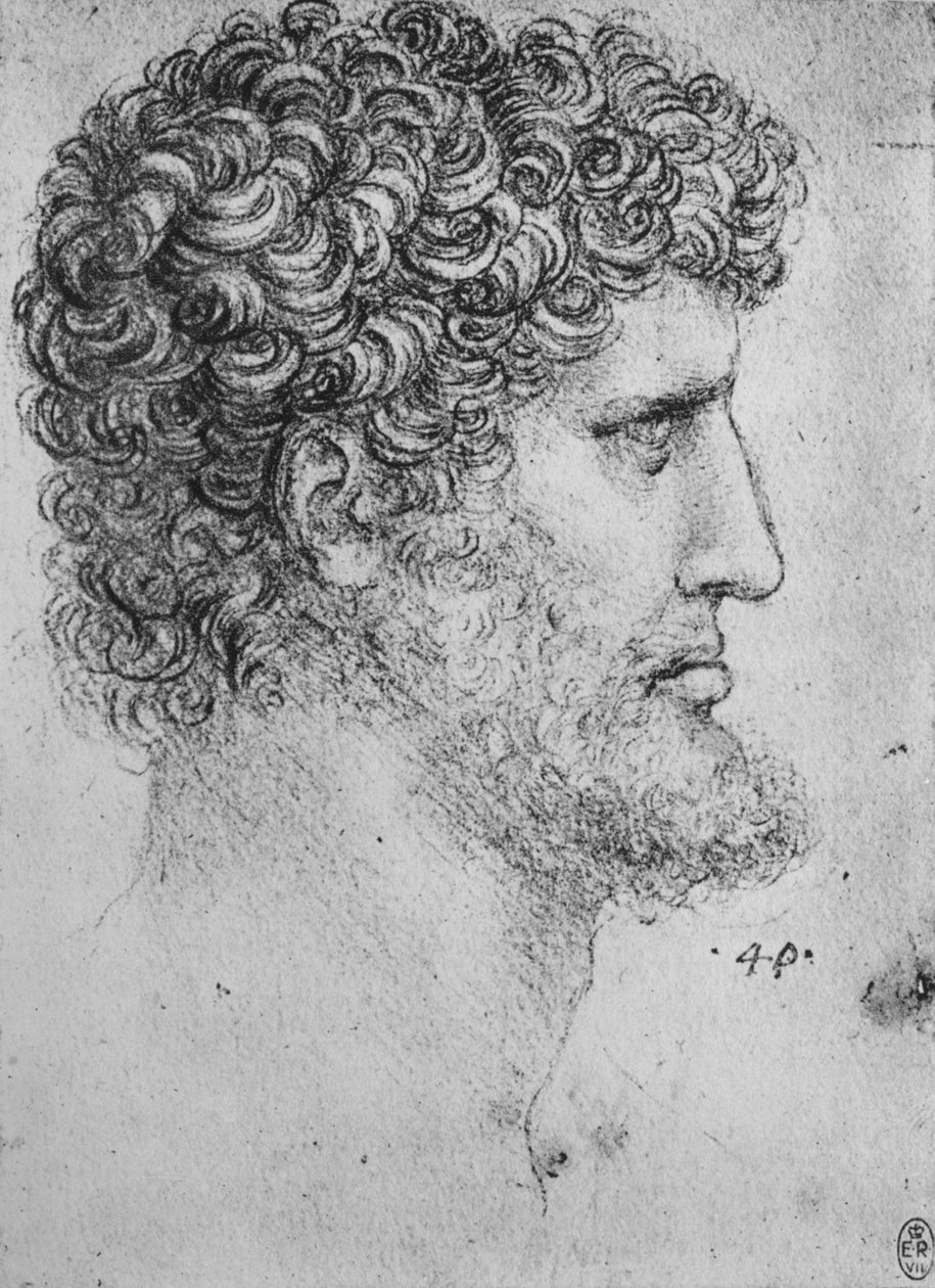 الملف الشخصي إلى يمين الرجل الملتحي ، c1480 1945 بواسطة ليوناردو دا فينشي