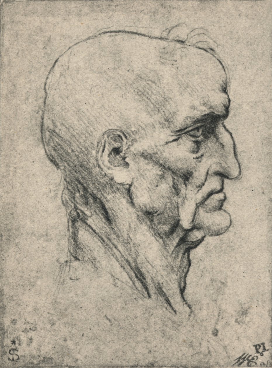الملف الشخصي إلى يمين رجل أصلع مسن ، c1480 1945 بواسطة ليوناردو دا فينشي