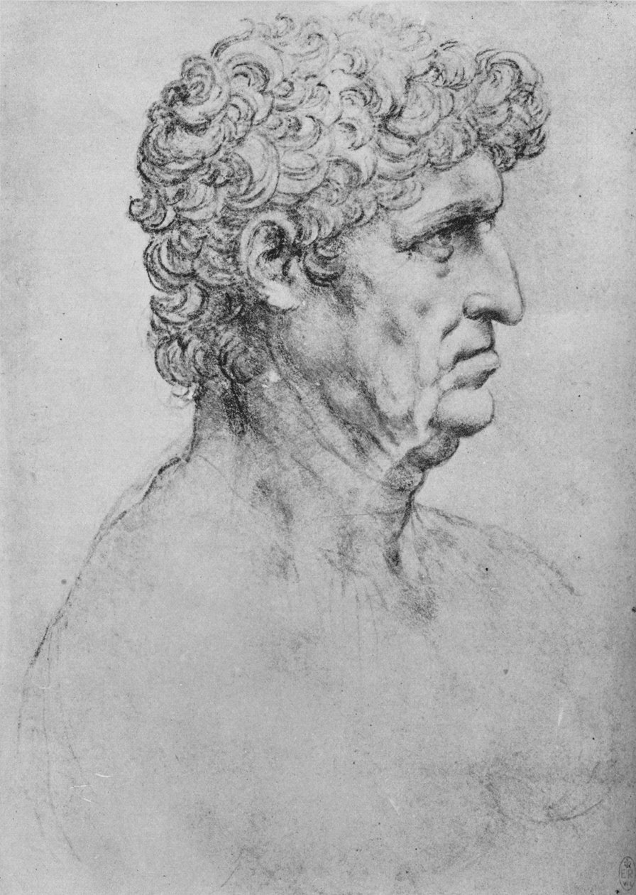 الملف الشخصي إلى يمين المسن ، c1480 1945 بواسطة ليوناردو دا فينشي