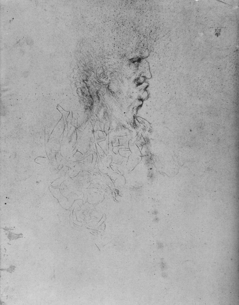 الملف الشخصي إلى يمين العجوز ، c1480 1945 بواسطة ليوناردو دا فينشي