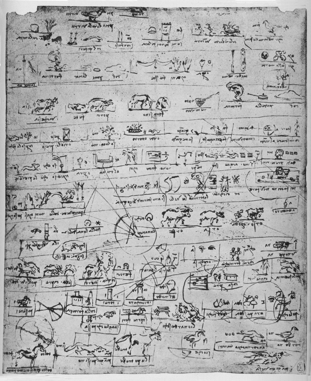 ورقة من الصور التوضيحية ، c1480 1945 بواسطة ليوناردو دا فينشي