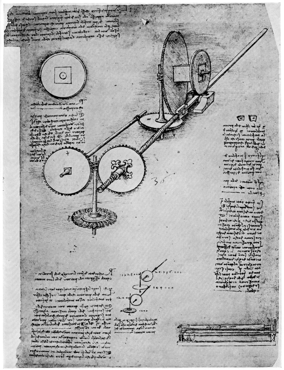 رسم تخطيطي لدرفلة ، c1500-1510 1954 بواسطة ليوناردو دا فينشي