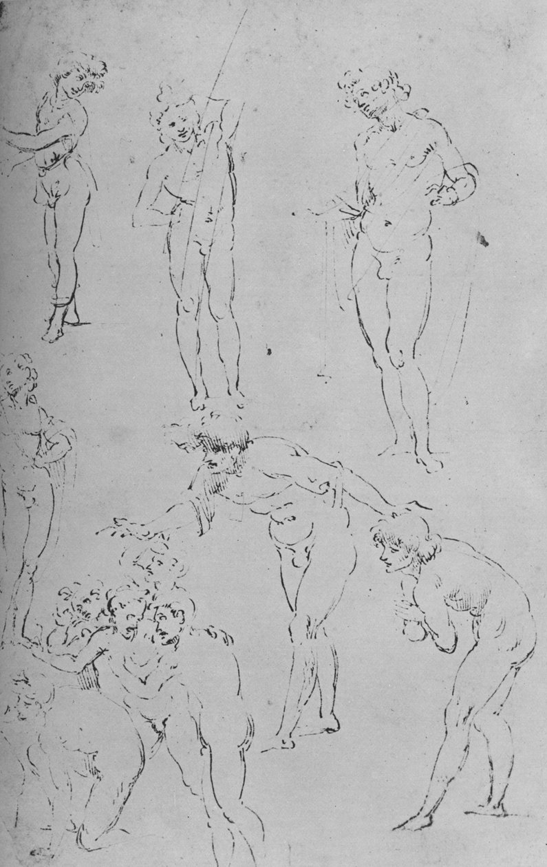 دراسات الأشكال ومجموعة الأشكال ، c1500 1945 بواسطة ليوناردو دا فينشي