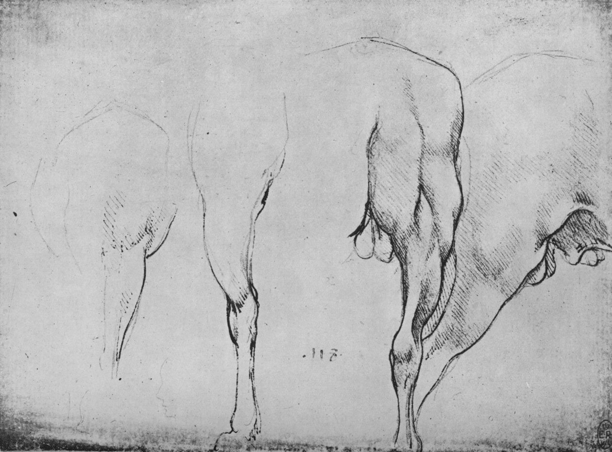 دراسات أرجل الخيول ، c1480 1945 بواسطة ليوناردو دا فينشي