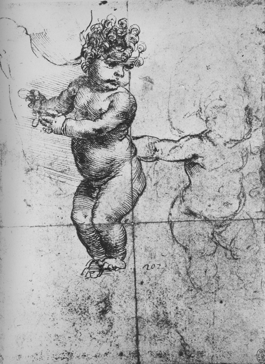 دراسات الرضع ، c1480 1945 بواسطة ليوناردو دا فينشي