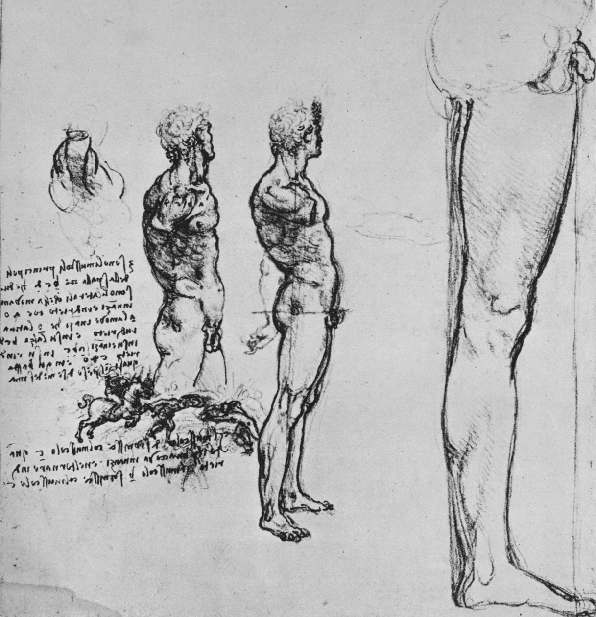دراسات العراة والرسم الأصغر للمعركة ، c1480 1945 بواسطة ليوناردو دا فينشي