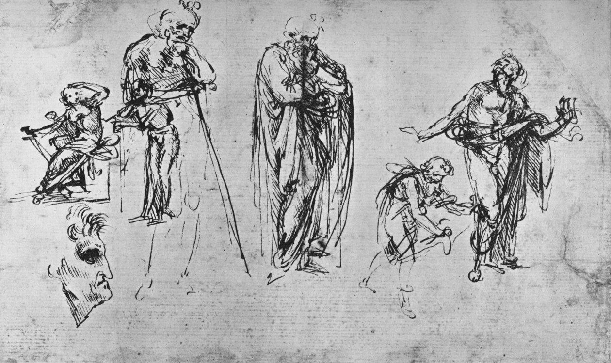 دراسات الأشكال الفردية والملف الشخصي ، c1480 1945 بواسطة ليوناردو دا فينشي