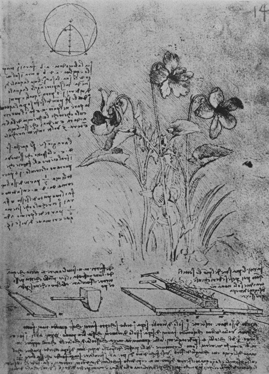 دراسة الكمان وطرق لحام أسطح الرصاص ، c1480 1945 بواسطة ليوناردو دا فينشي