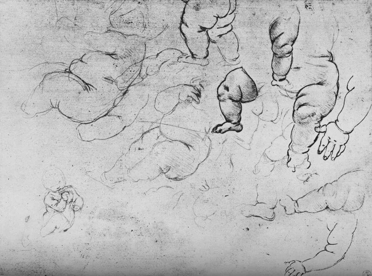 دراسات طفل ، c1490 1945 بواسطة ليوناردو دا فينشي