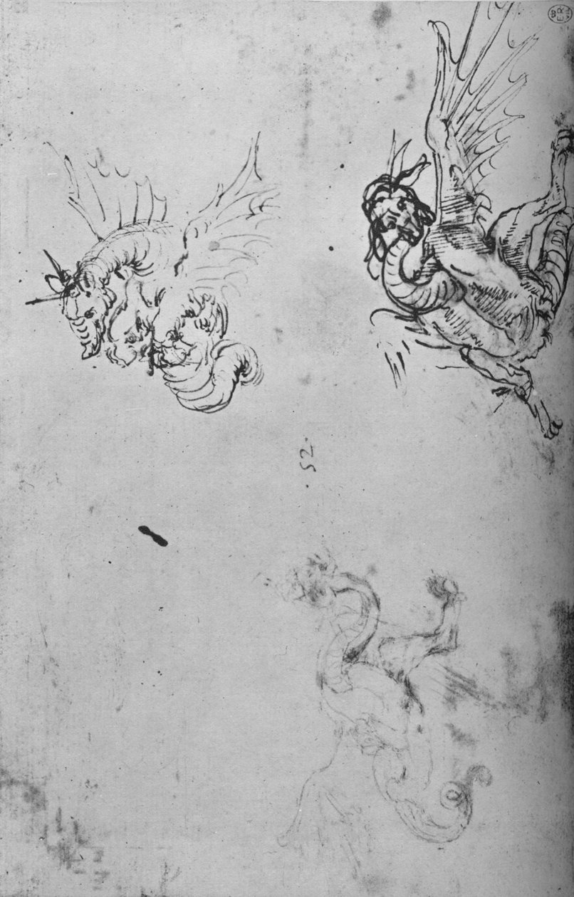 دراسات التنين ، c1480 1945 بواسطة ليوناردو دا فينشي