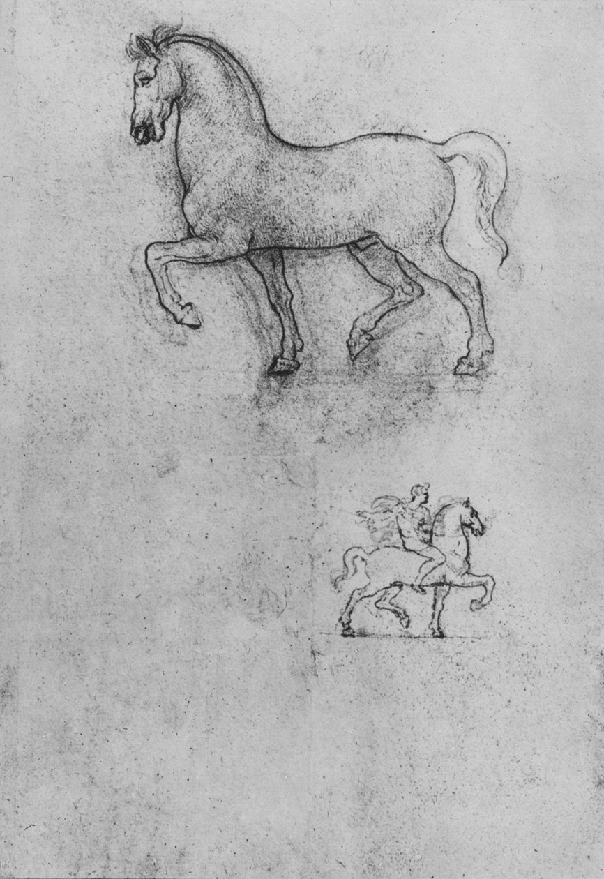 دراسات الحصان وواحد من الحصان والفارس ، c1480 1945 بواسطة ليوناردو دا فينشي