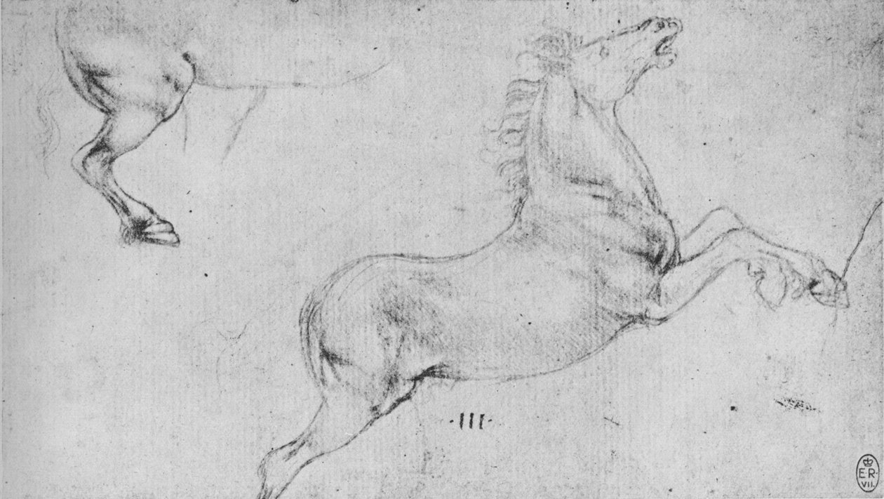 دراسات عن تربية الخيول والخيول هند كوارتر ، c1480 1945 بواسطة ليوناردو دا فينشي