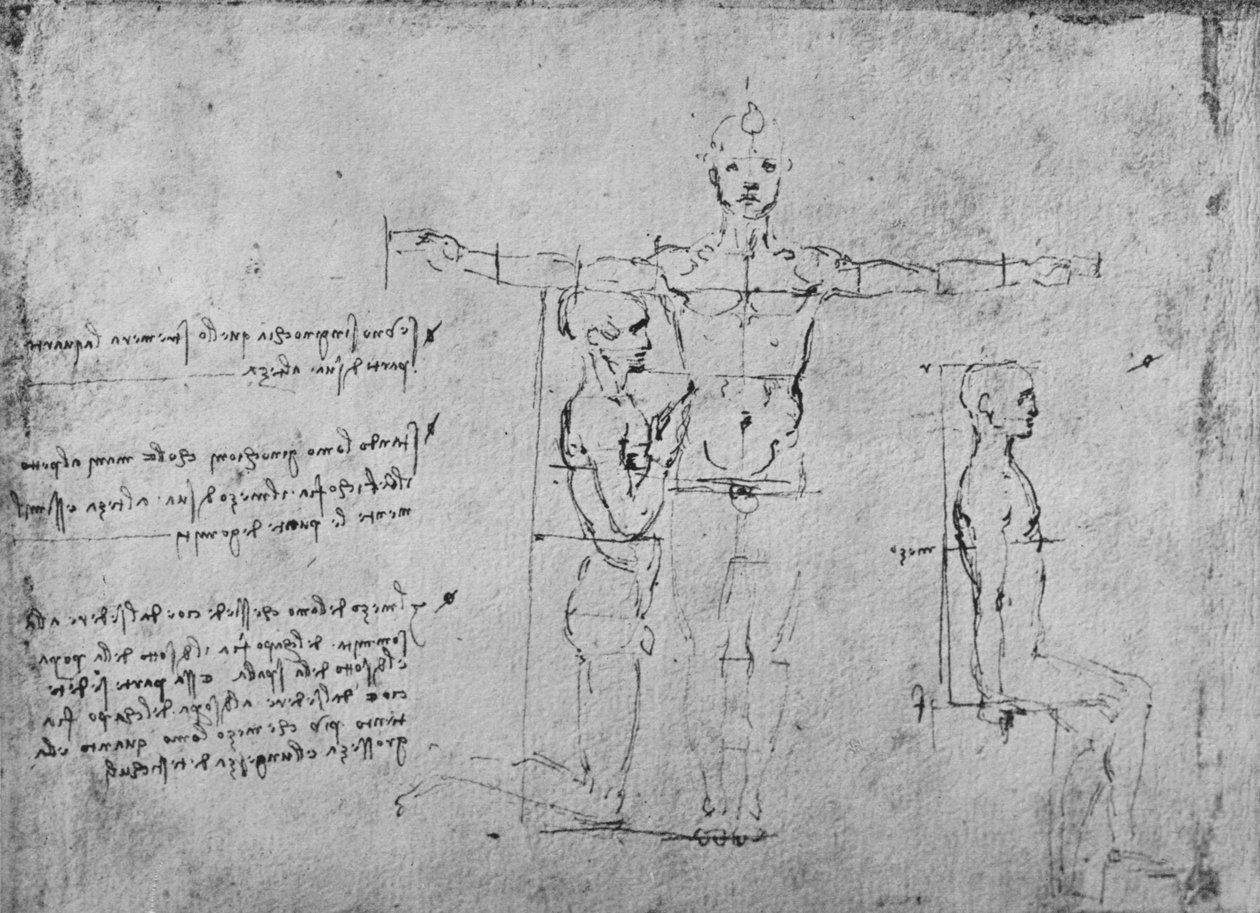 دراسات لنسب الأشكال الثلاثة ، c1480 1945 بواسطة ليوناردو دا فينشي