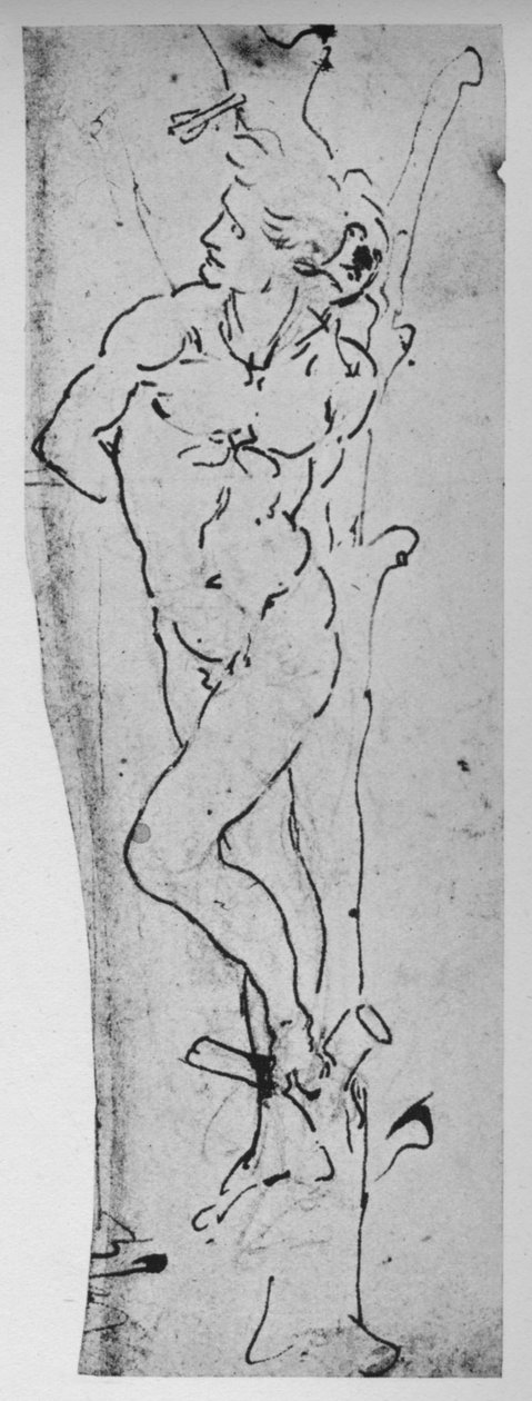 دراسة للقديس سيباستيان ، c1480 1945 بواسطة ليوناردو دا فينشي