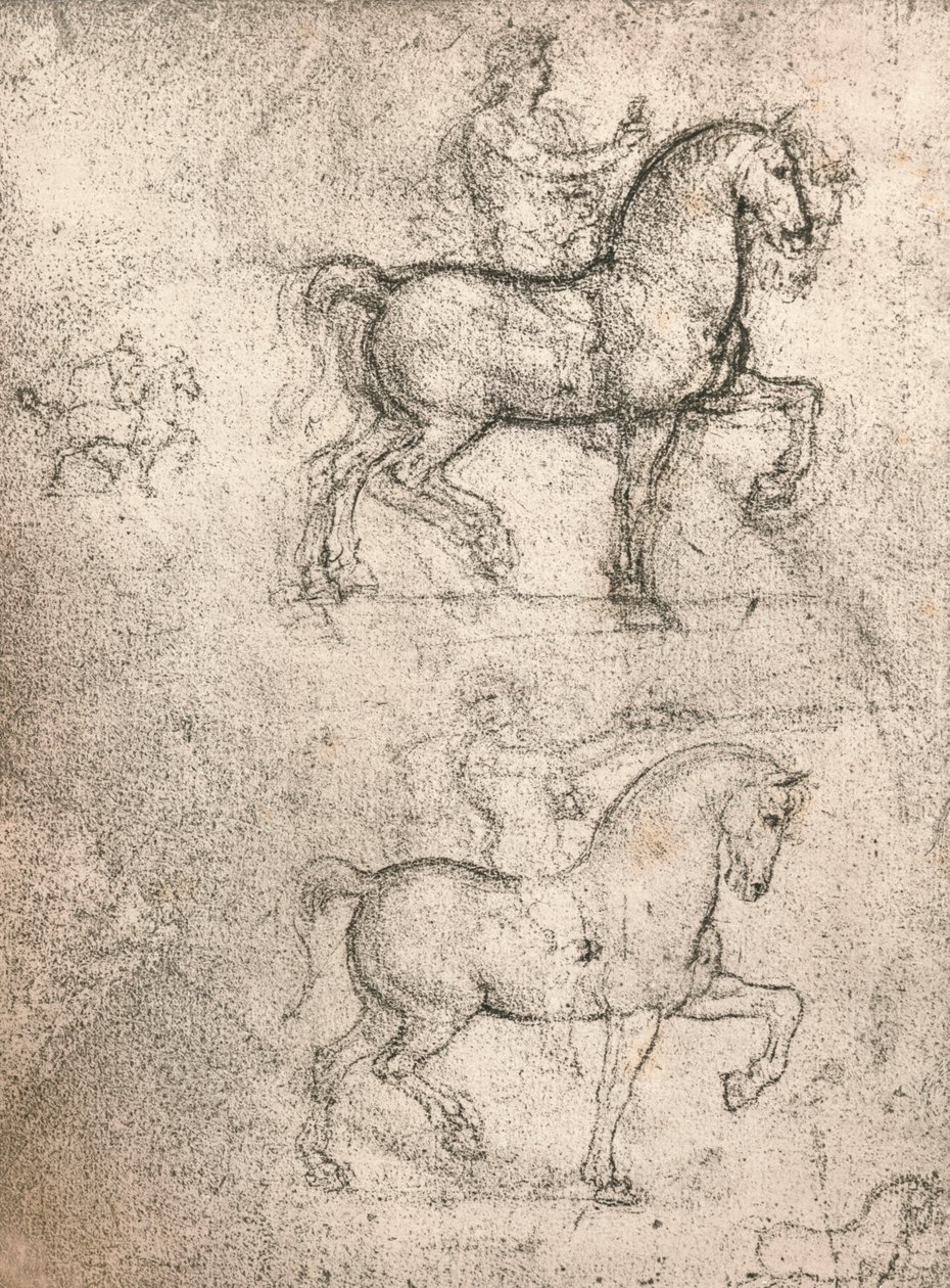 دراسة لنصب سفورزا ، c1482-c1499 1883 بواسطة ليوناردو دا فينشي