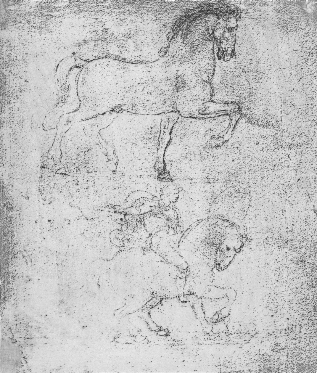دراسة لنصب سفورزا ، c1482-c1499 1883 بواسطة ليوناردو دا فينشي