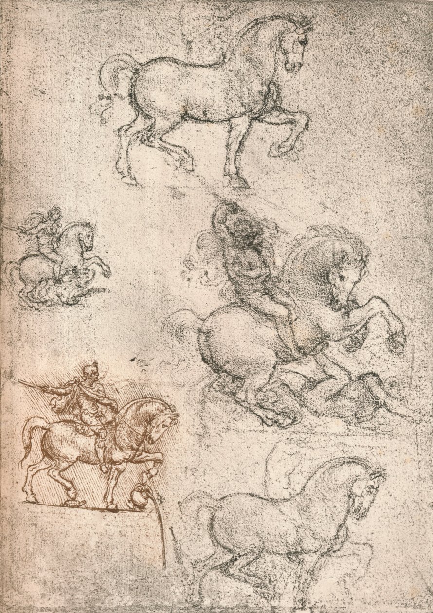 دراسة لنصب سفورزا ، c1482-c1499 1883 بواسطة ليوناردو دا فينشي