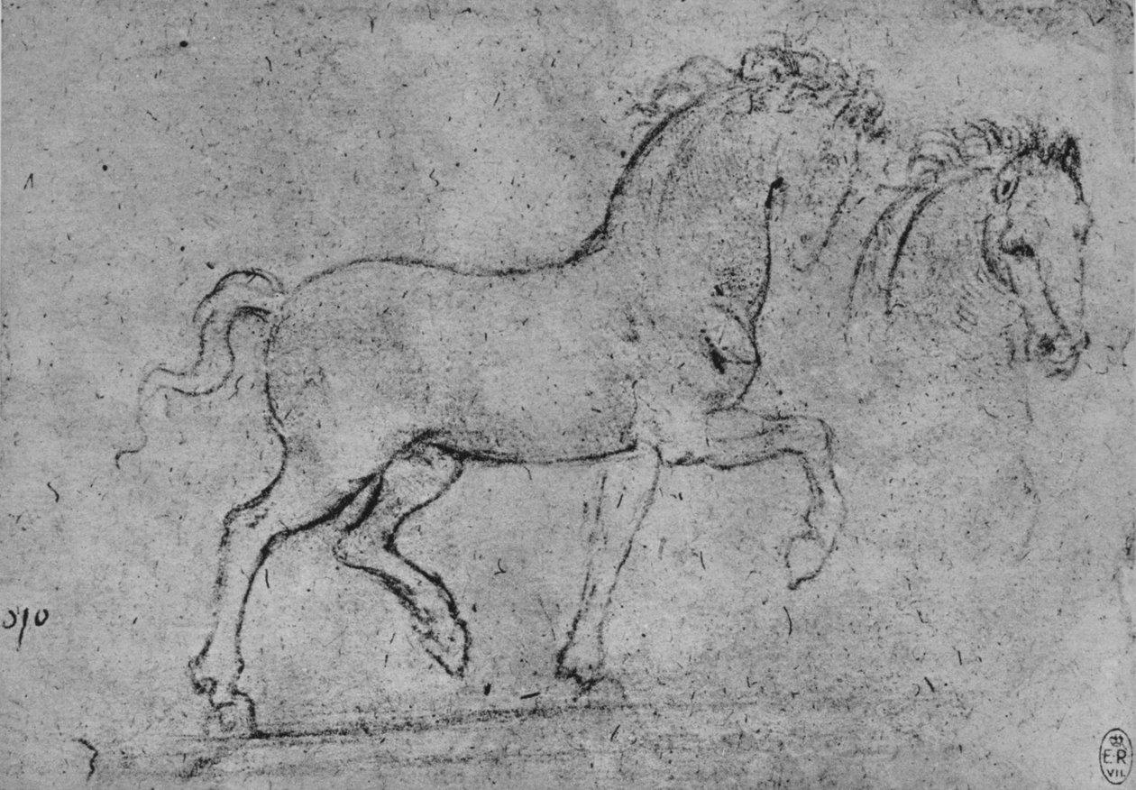 دراسة الحصان ورأس الخيول ، c1480 1945 بواسطة ليوناردو دا فينشي