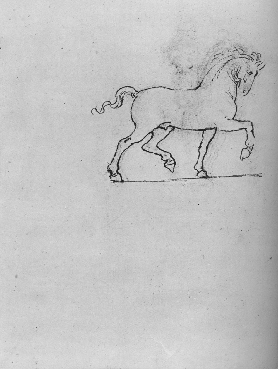 دراسة الحصان ، c1480 1945 بواسطة ليوناردو دا فينشي