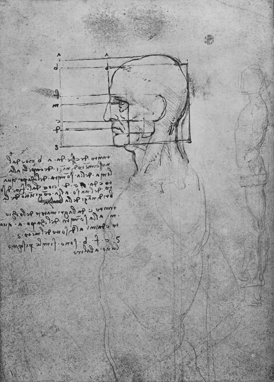 دراسة لجذع مان عارية ، مربع الرأس للنسب ، c1480 1945 بواسطة ليوناردو دا فينشي