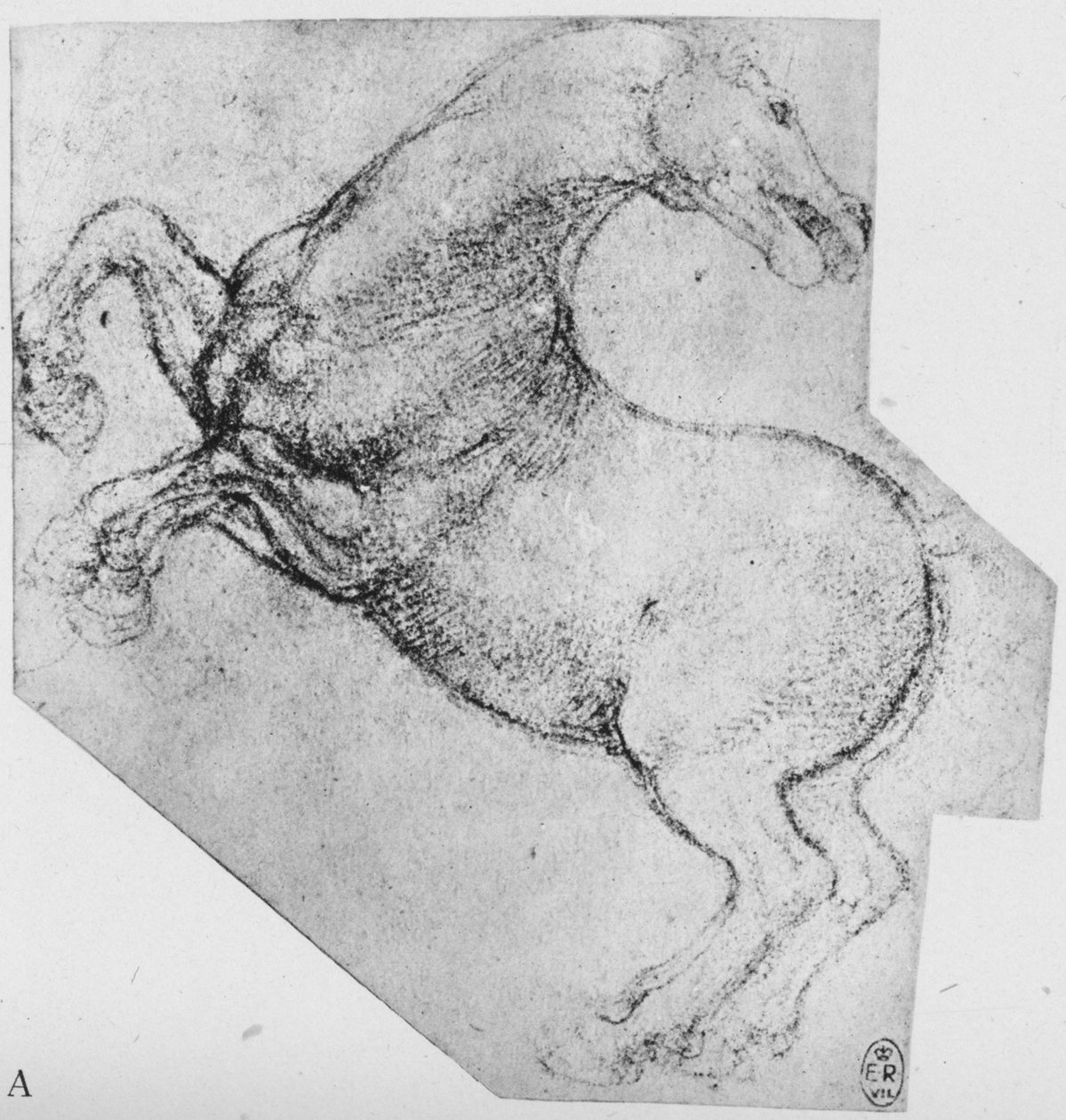 دراسة تربية الخيل ، c1480 1945 بواسطة ليوناردو دا فينشي