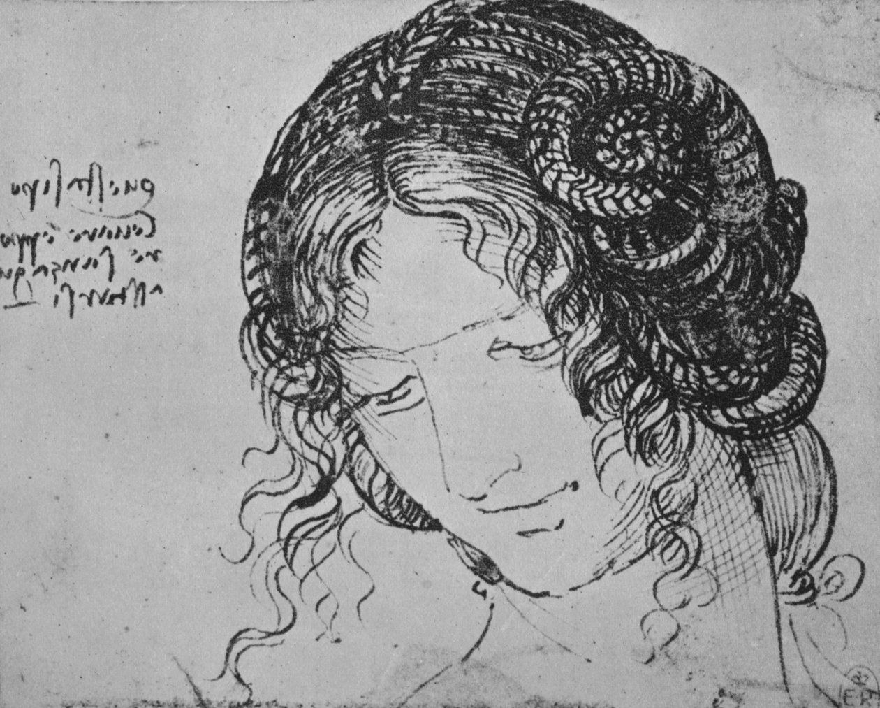 دراسة شعر مضفر نسائي ، c1480 1945 بواسطة ليوناردو دا فينشي