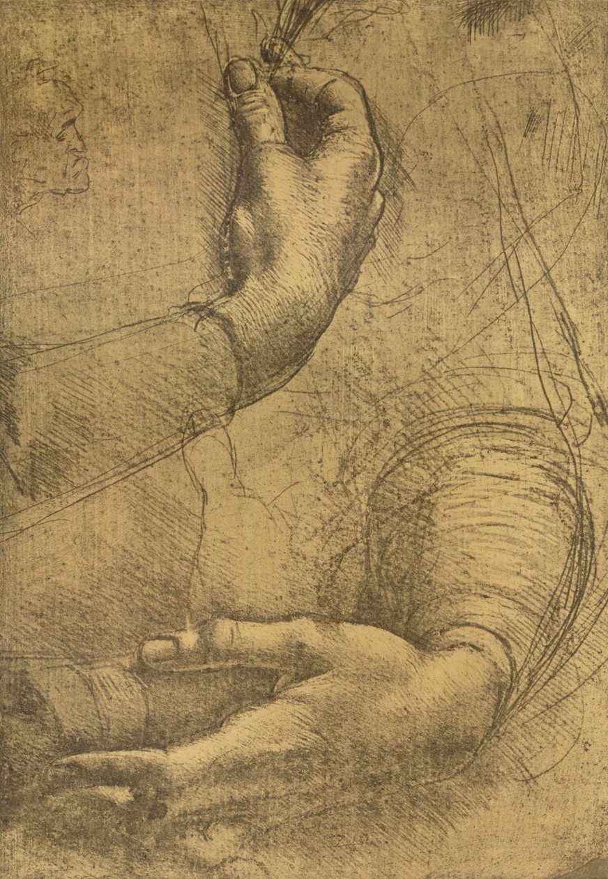 دراسة اليدين الأنثوية c1472-c1519 1883 بواسطة ليوناردو دا فينشي