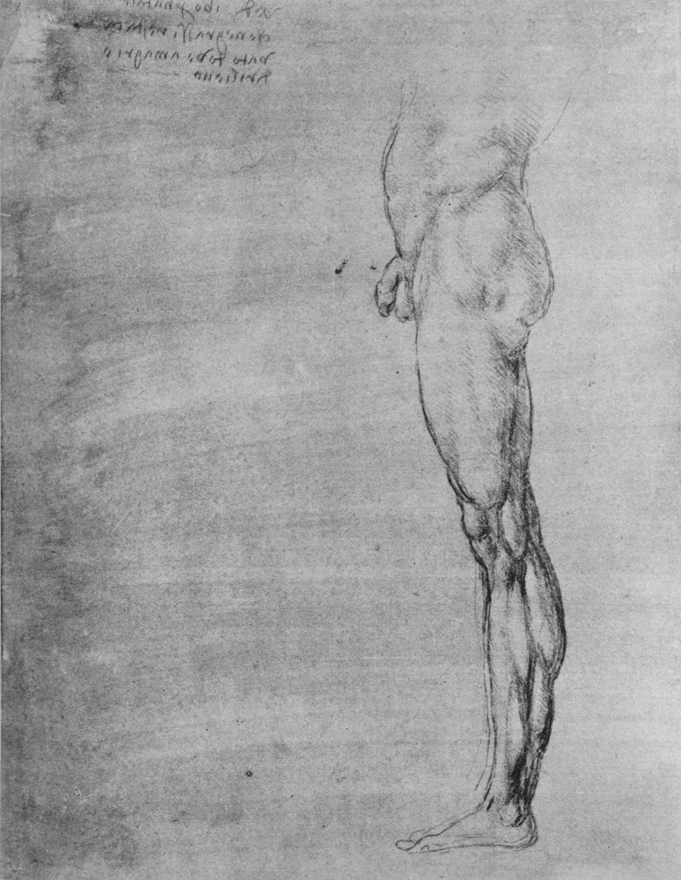 دراسة جسد وساق الرجل ، c1480 1945 بواسطة ليوناردو دا فينشي