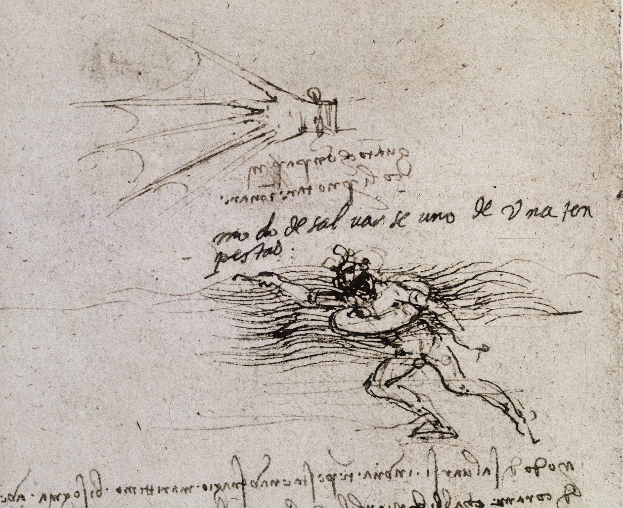 النخلة والعوامة Codex Atlantic بواسطة ليوناردو دا فينشي