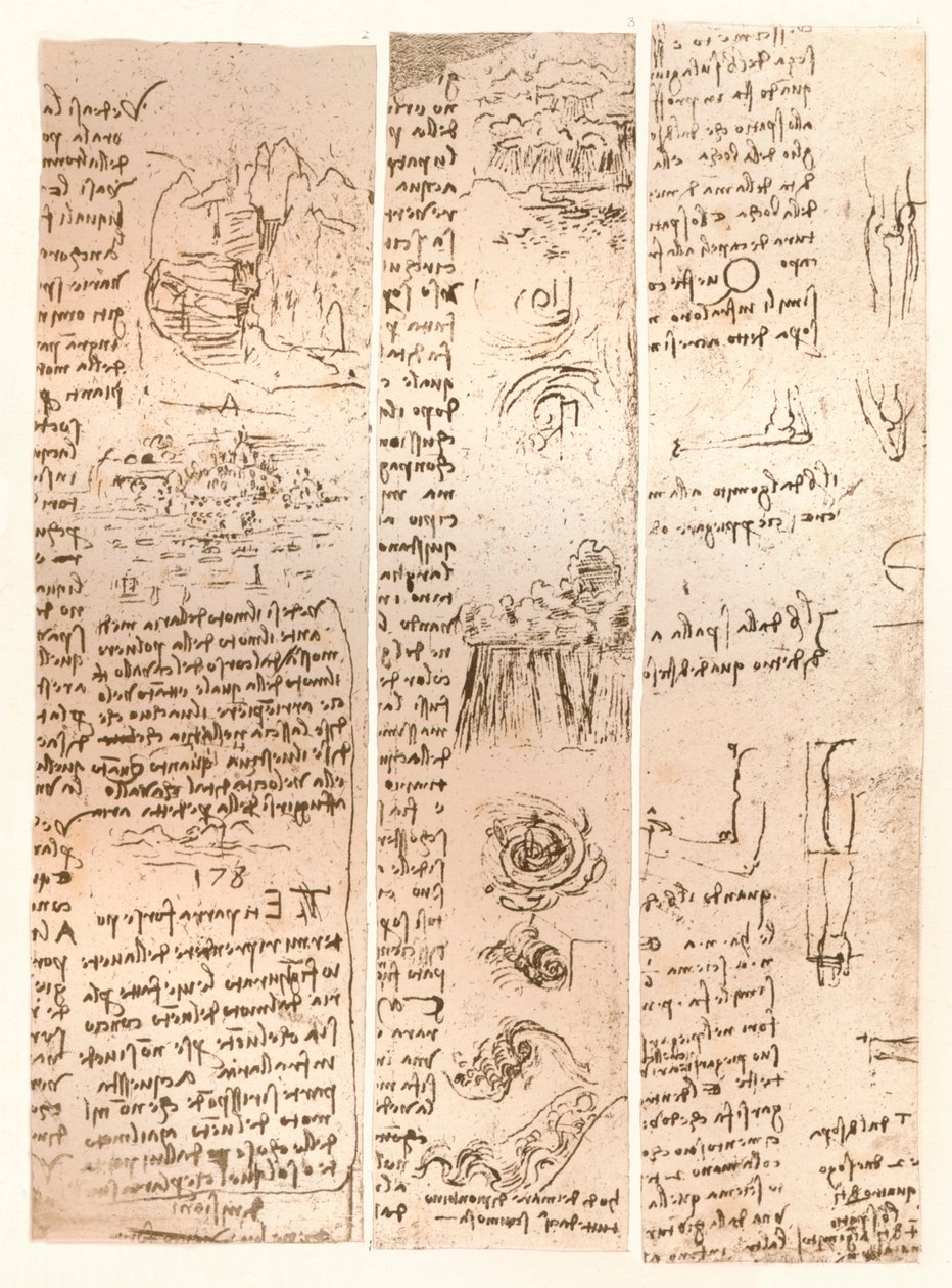 ثلاثة رسومات ، c1472-c1519 1883 بواسطة ليوناردو دا فينشي