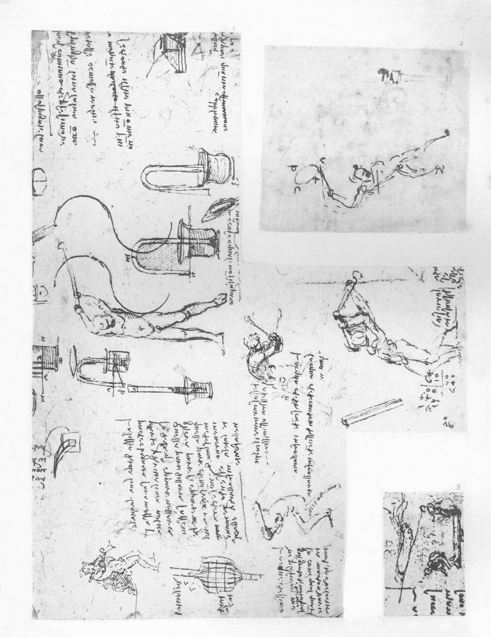 ثلاثة رسومات توضح نظرية حركات الشكل البشري ، c1472-c1519 1883 بواسطة ليوناردو دا فينشي
