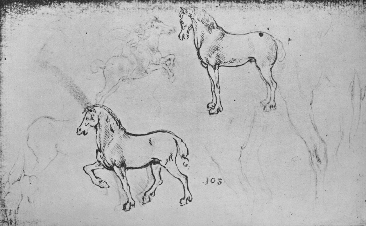 دراستان للخيول ، واحدة من فارس راكض وآخرون من أرجل الخيول ، c1480 1945 بواسطة ليوناردو دا فينشي