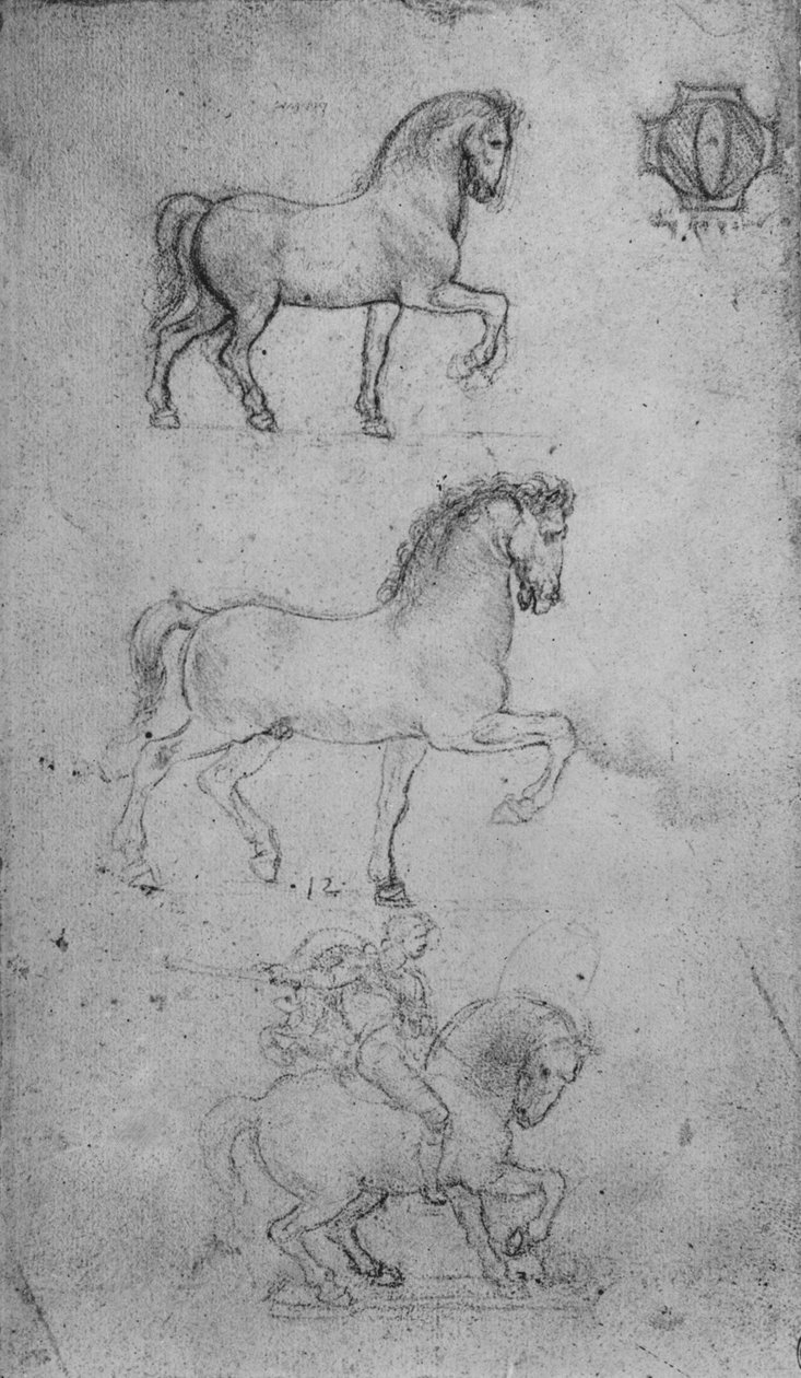 دراستان للحصان وواحدة للحصان والفارس ، c1480 1945 بواسطة ليوناردو دا فينشي