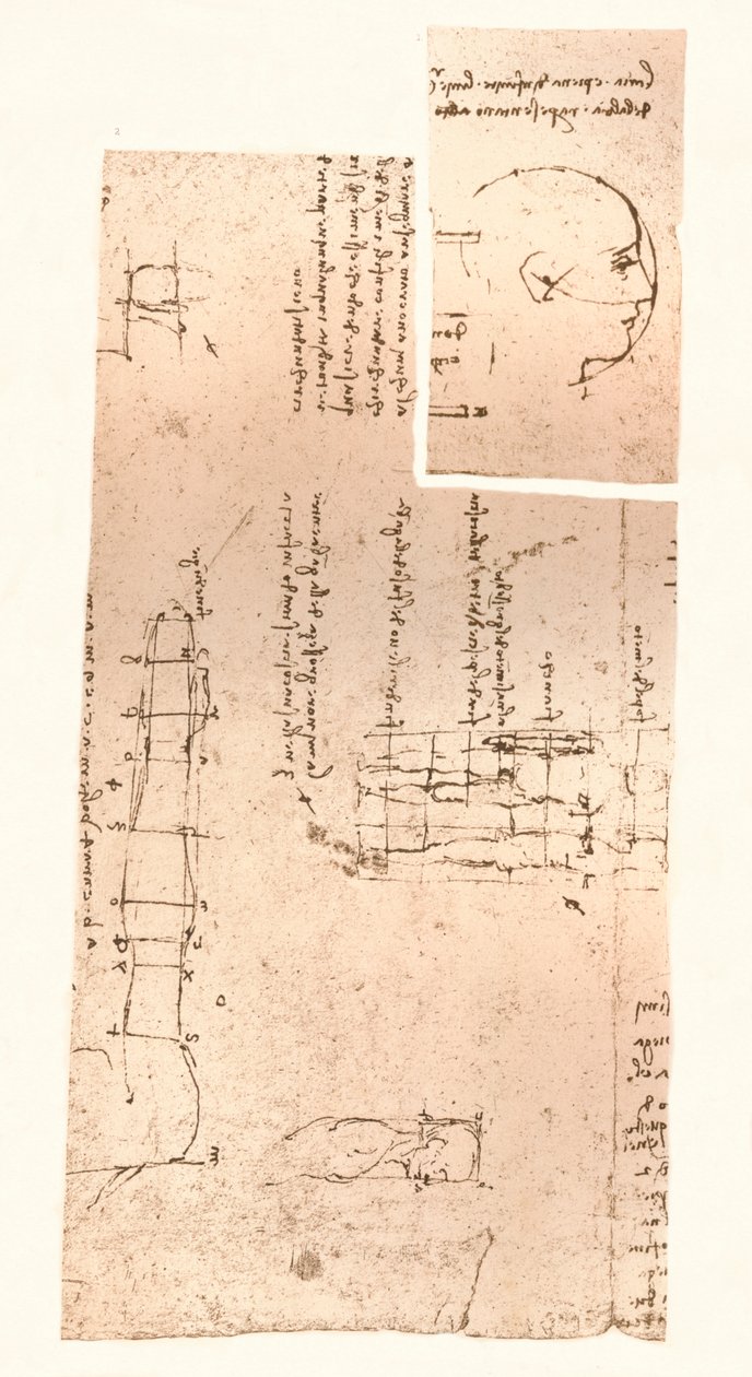 رسمان يوضحان نظرية نسب الشكل البشري ، c1472-c1519 1883 بواسطة ليوناردو دا فينشي