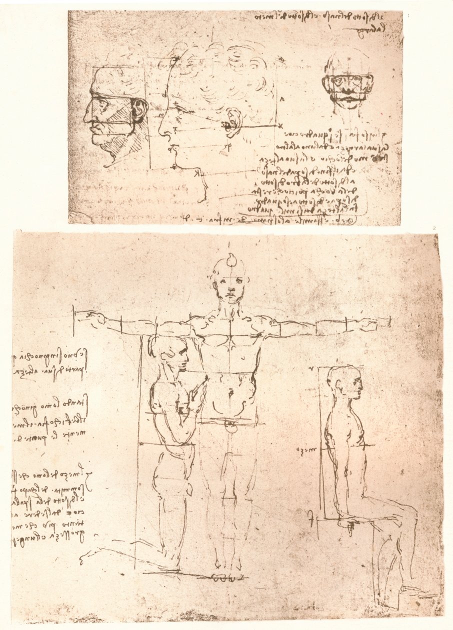 رسمان يوضحان نظرية نسب الشكل البشري ، c1472-c1519 1883. بواسطة ليوناردو دا فينشي