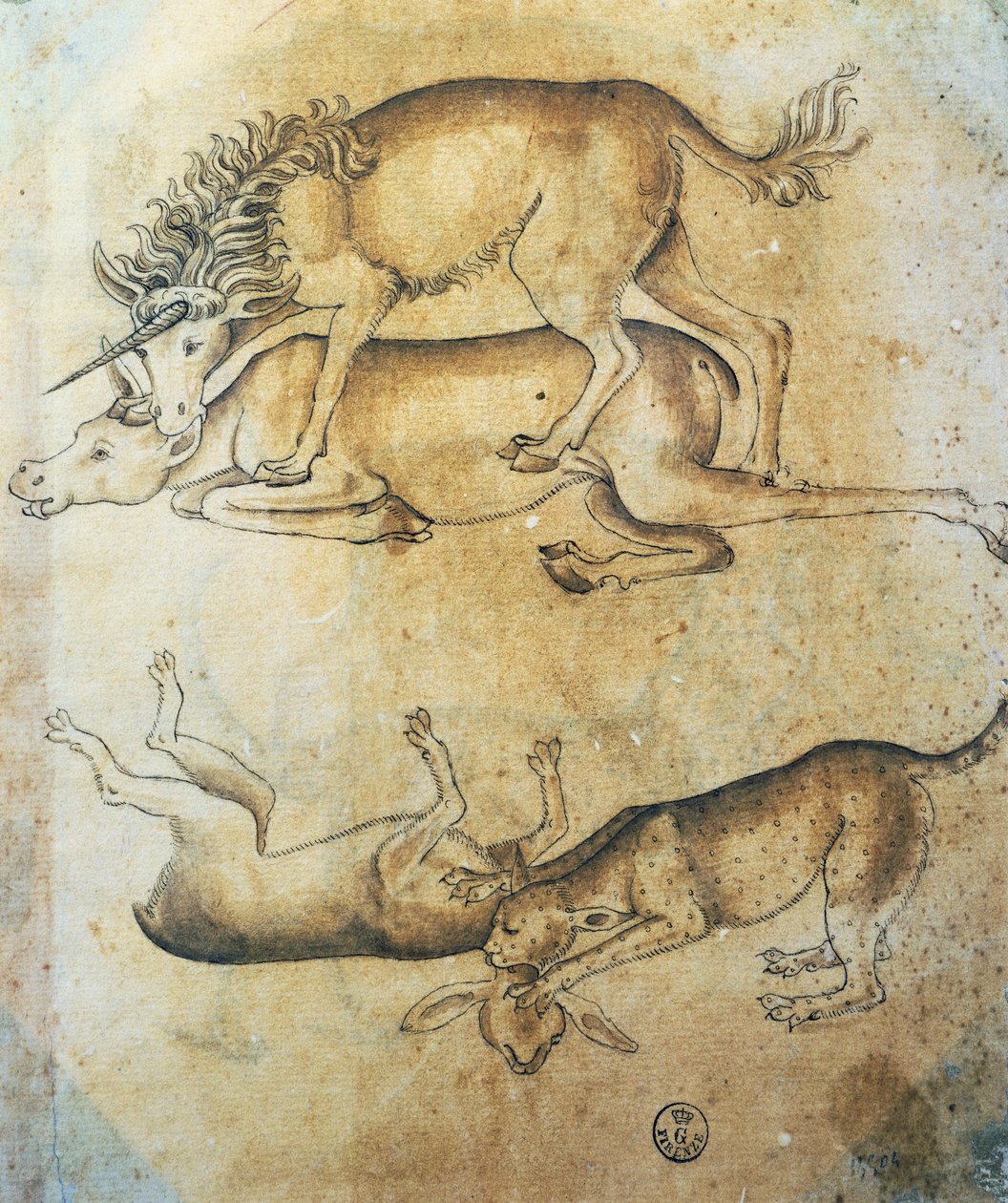 يونيكورن يهاجم بقرة ونمر يهاجمان شاة ، دراسة الحيوانات ، بواسطة ليوناردو دافنشي (1452-1519) ، رسم بواسطة ليوناردو دا فينشي