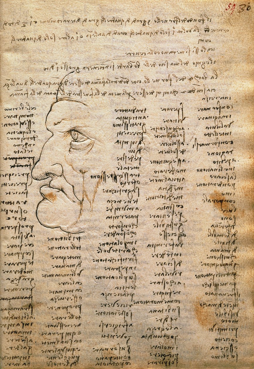قائمة الكلمات والملف الشخصي للذكور ، من Codex Trivulzianus بواسطة ليوناردو دا فينشي