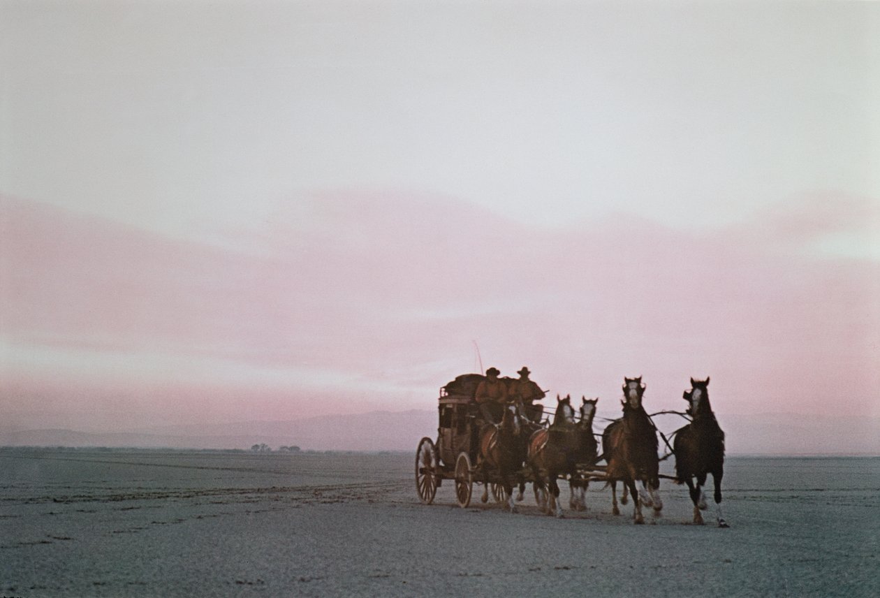 A Wells Fargo stagecoach on a modern publicity run on the Western Plains (photo) بواسطة غير معروف غير معروف
