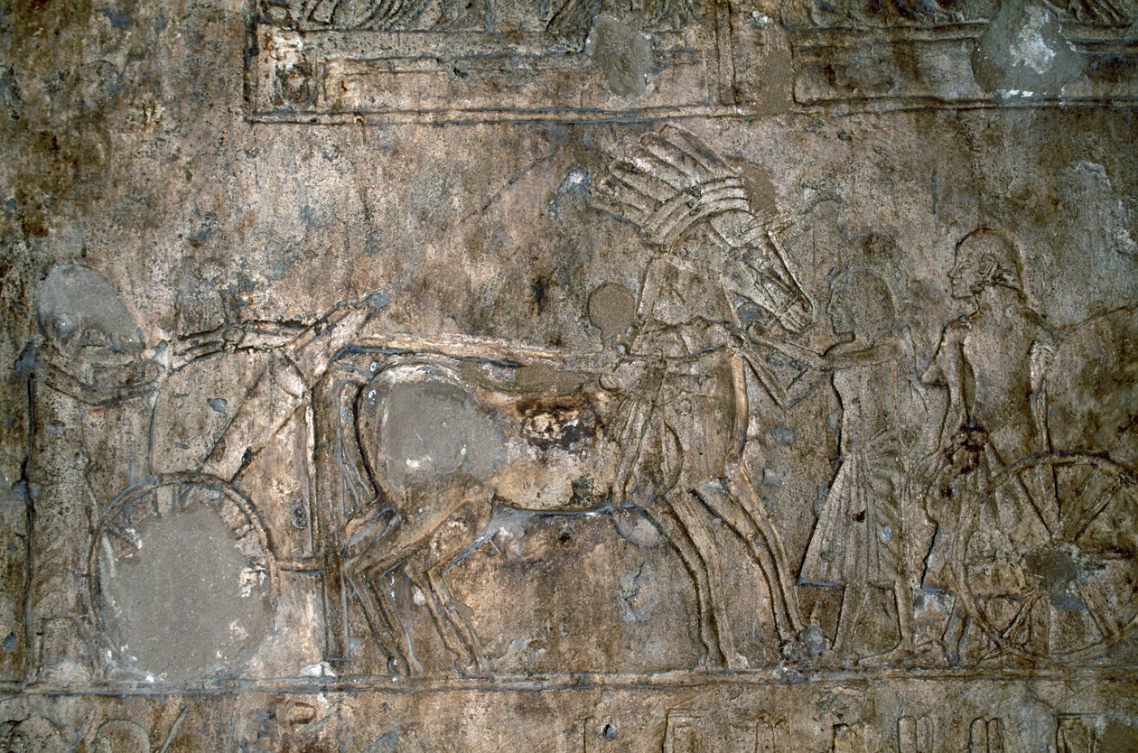 Bas relief with wagon, Necropolis of Tell el-Amarna, Egypt, Egyptian civilization, New Kingdom, Dynasty XVIII بواسطة غير معروف غير معروف