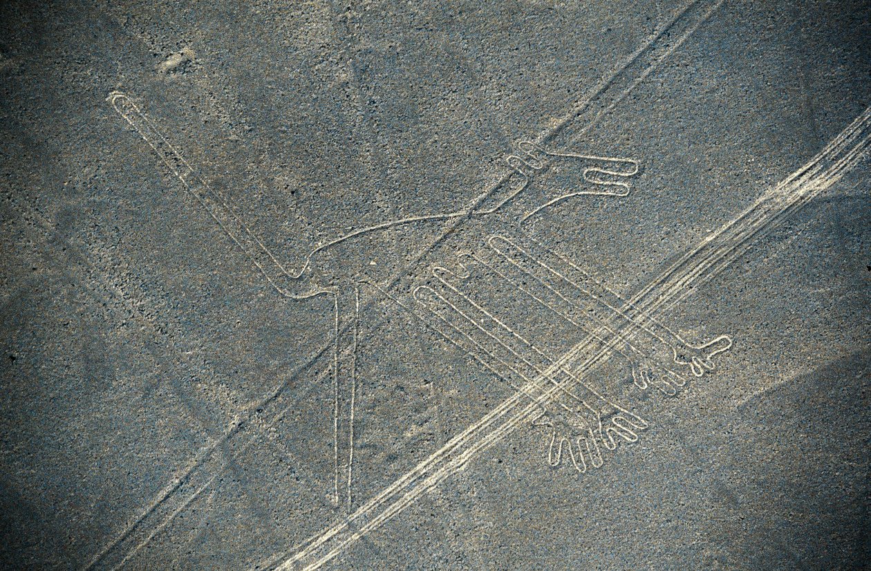 Dog, Nazca lines, Nazca, Peru, Nazca Civilization (photo) بواسطة غير معروف غير معروف
